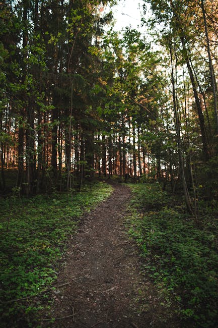 Outdoor Trail Running